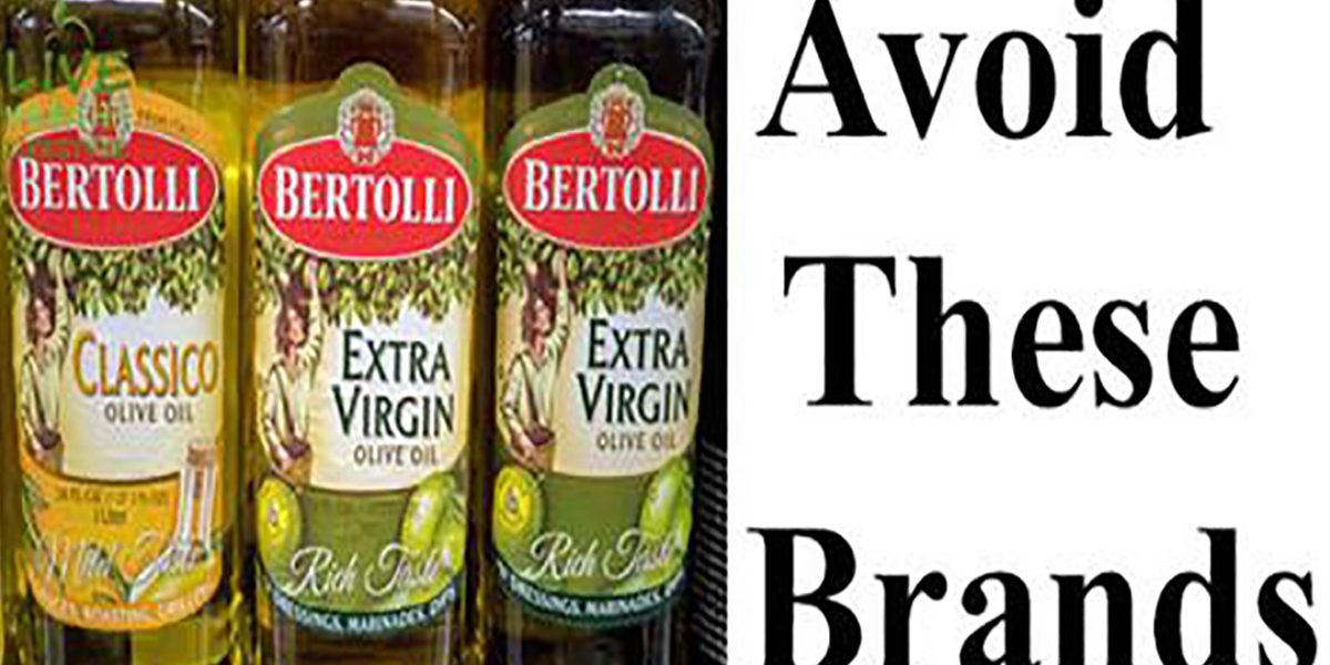 The 14 Fake Olive Oil Companies Are Revealed Now Avoid These Brands