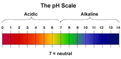 141128 Phil Holliday - pH scale