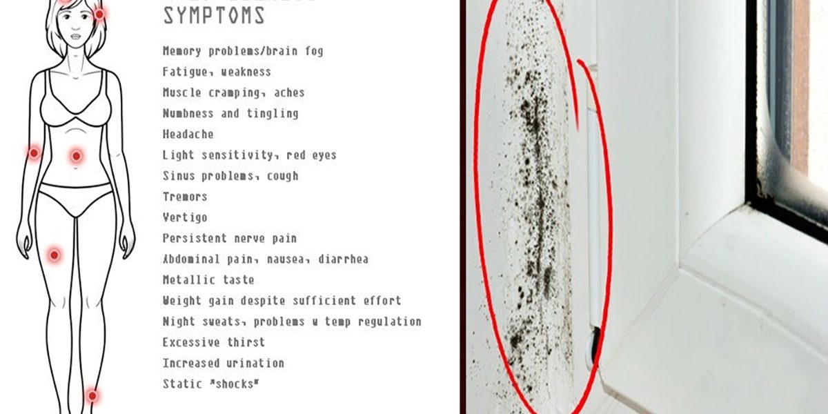 20-signs-that-you-have-a-mold-illness-and-how-to-treat-it-natural