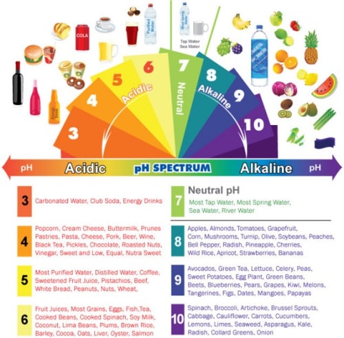 acidic, alkaline, ph balance, body ph balance, acidic body