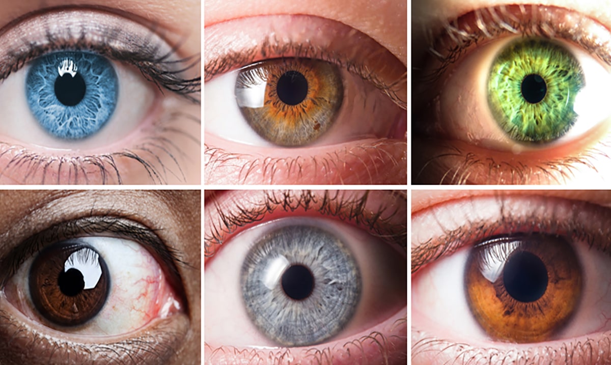 Как узнать свой цвет глаз по фото онлайн