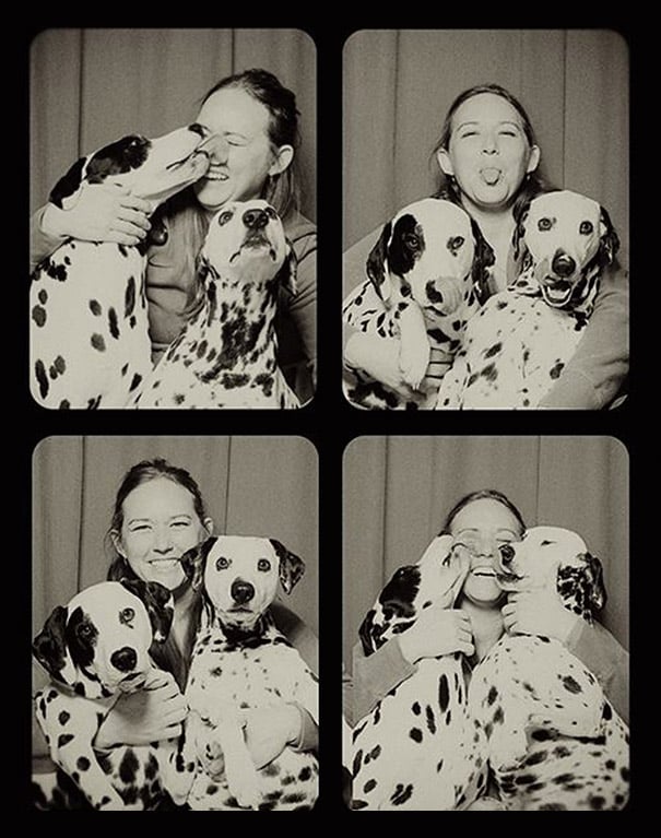 dogs-photo-booth-6