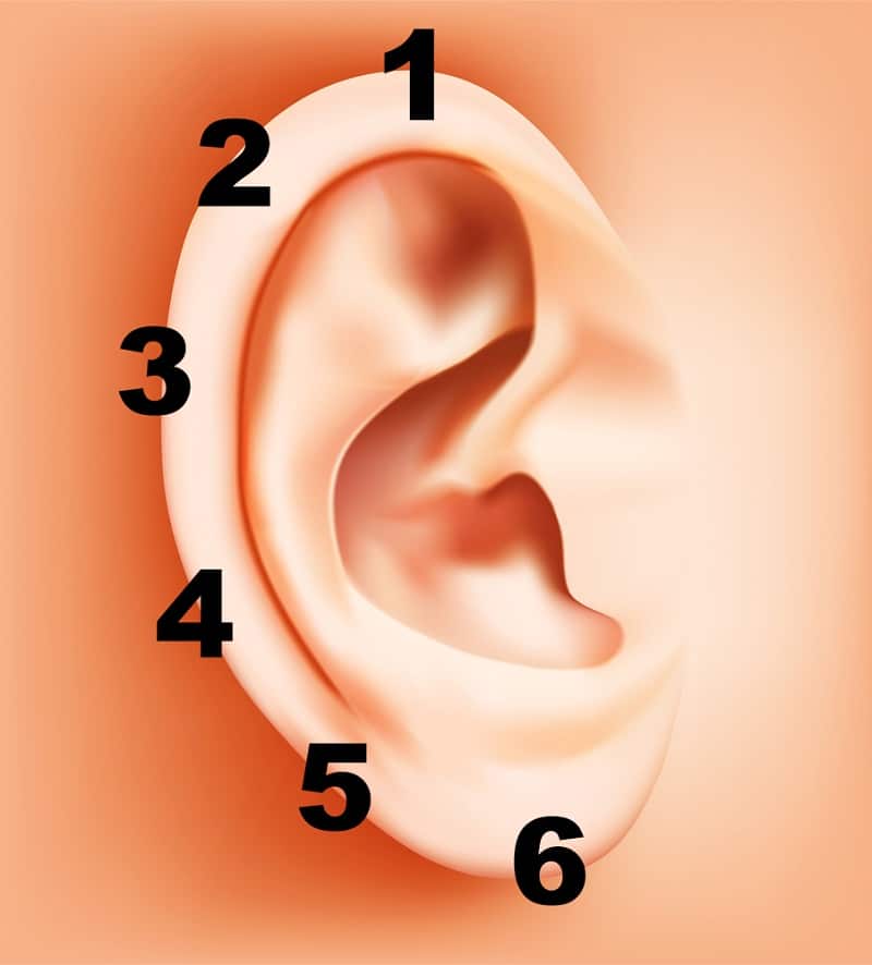 ear-reflexology-01