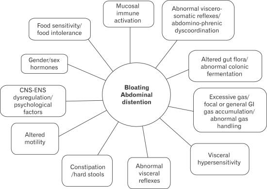 IBS, bloat, causes of bloat, management of bloat