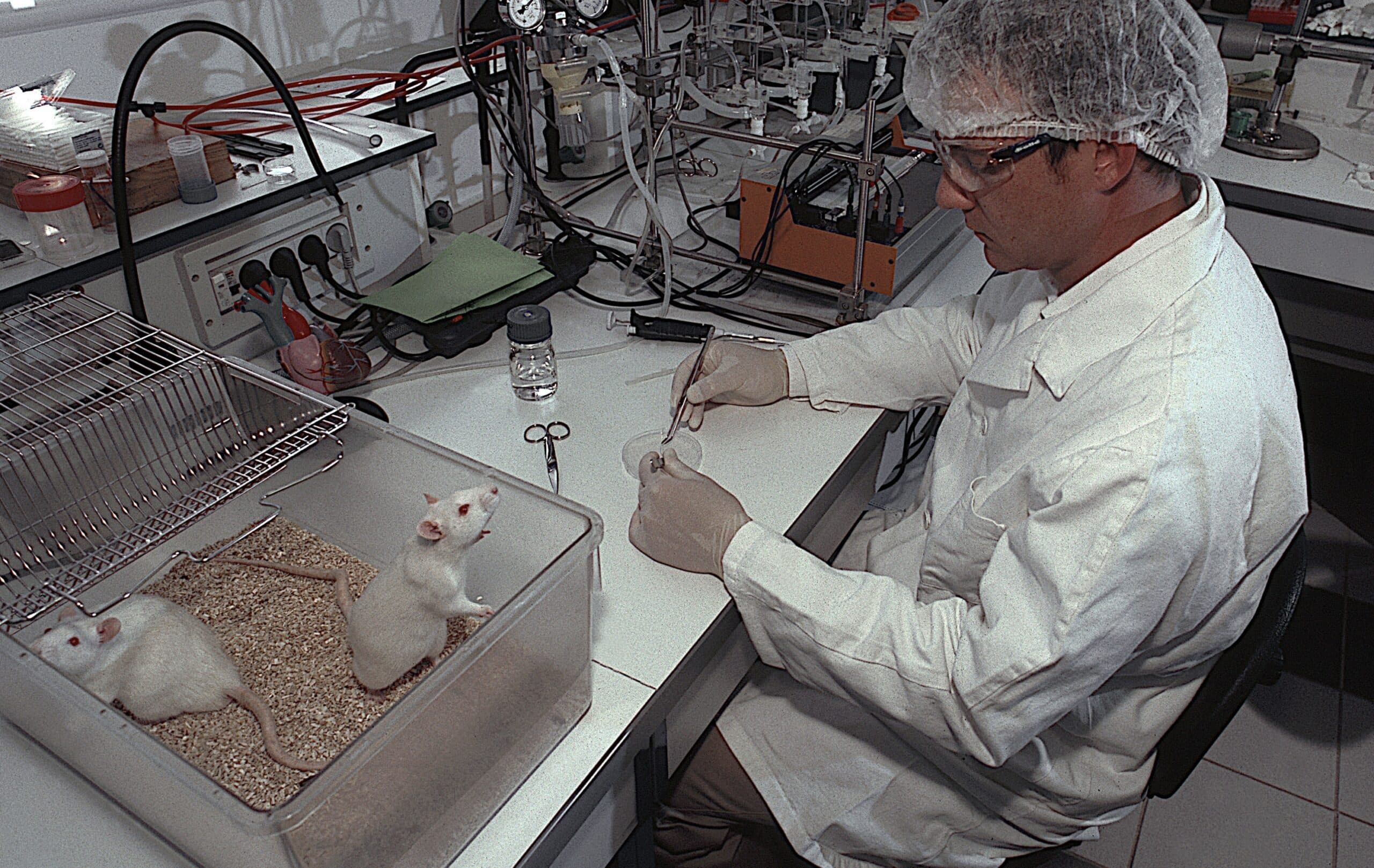 medical research on mice